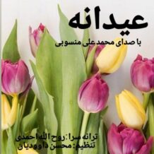 آهنگ جدید محمد علی منسوبی به نام عیدانه